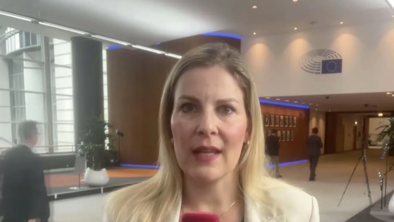 Magyarország a bűnös a brüsszeli elit szerint  + videó