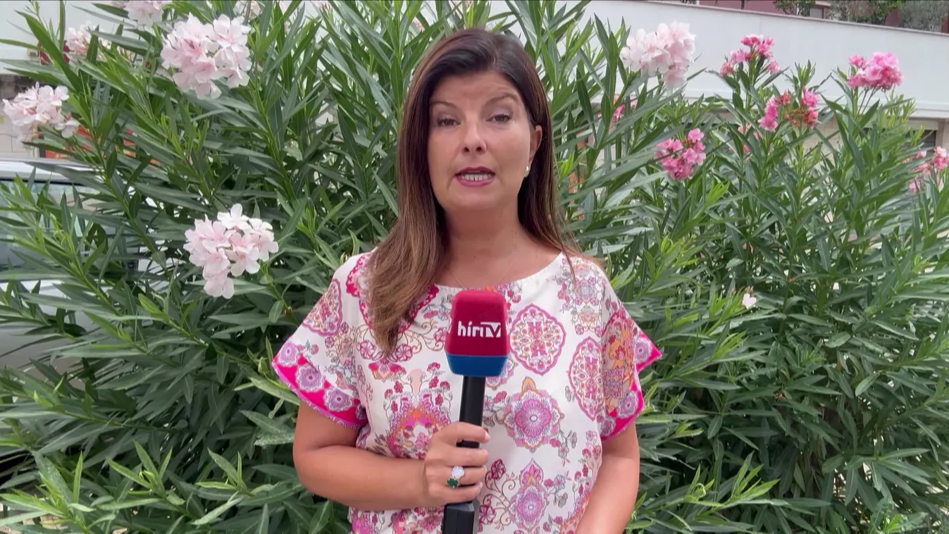 Temetési plakátot függesztettek ki Matteo Salviniről az Izrael-ellenes mozgalmak egy olasz megyében + videó