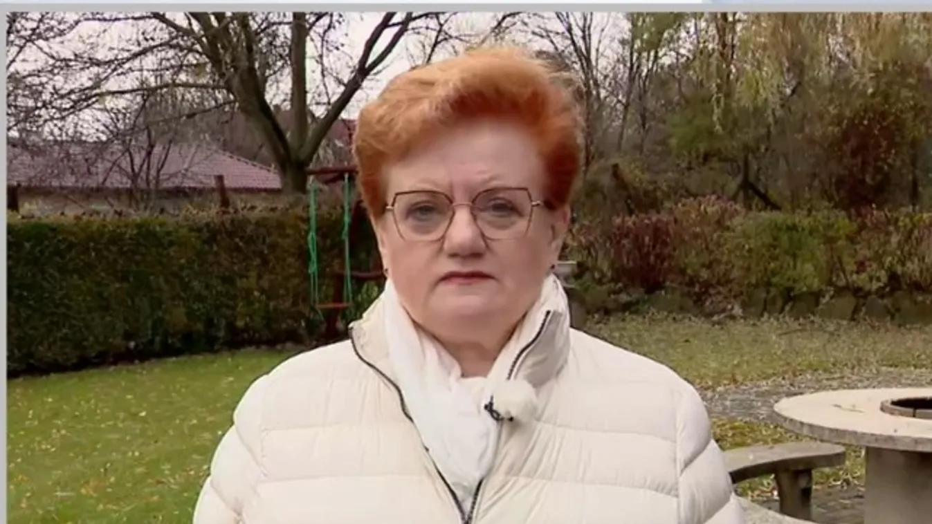 A vállalkozásokra is hatással lenne a Tisza Párt kiszivárgott 1300 milliárdos sarcterve + videó