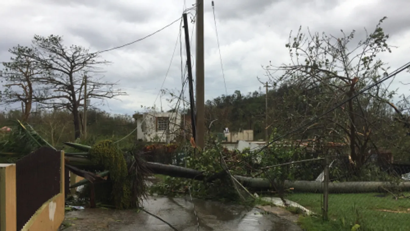 Puerto Ricóban komoly áramkimaradást okozott az Erin hurrikán