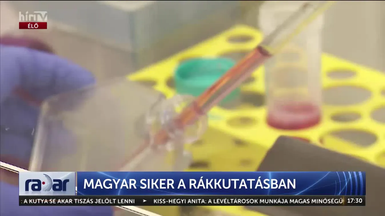 Radar - MAGYAR SIKER A RÁKKUTATÁSBAN