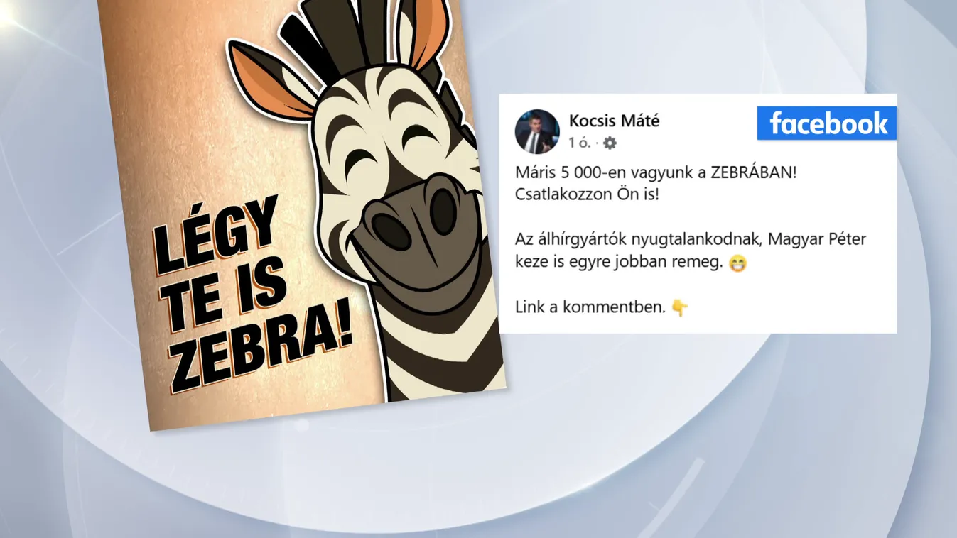 Már 5 ezren csatlakoztak a ZEBRA digitális polgári körhöz