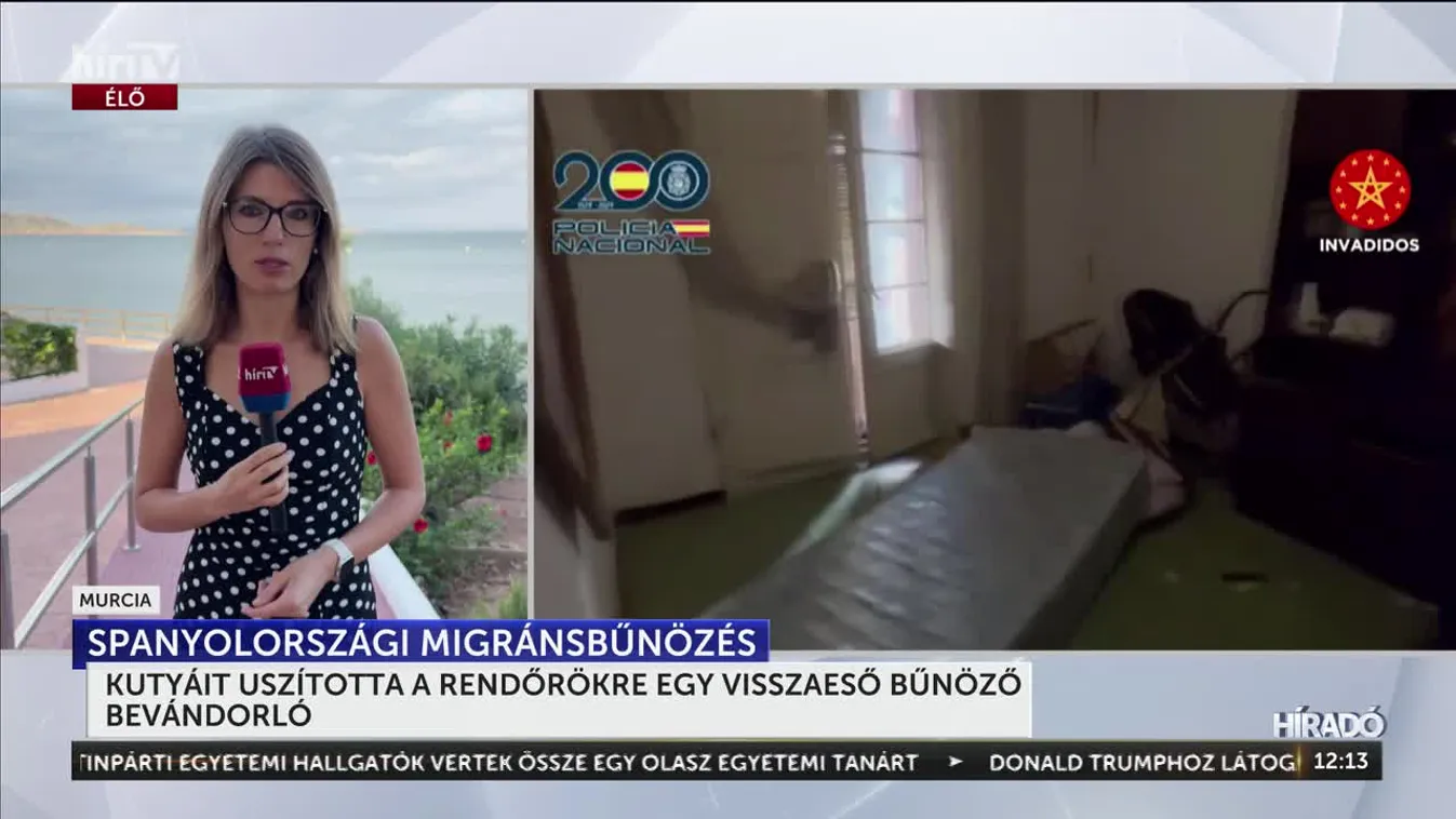 Rendőrökre uszította a kutyáit egy visszaeső bűnöző migráns Spanyolországban + videó