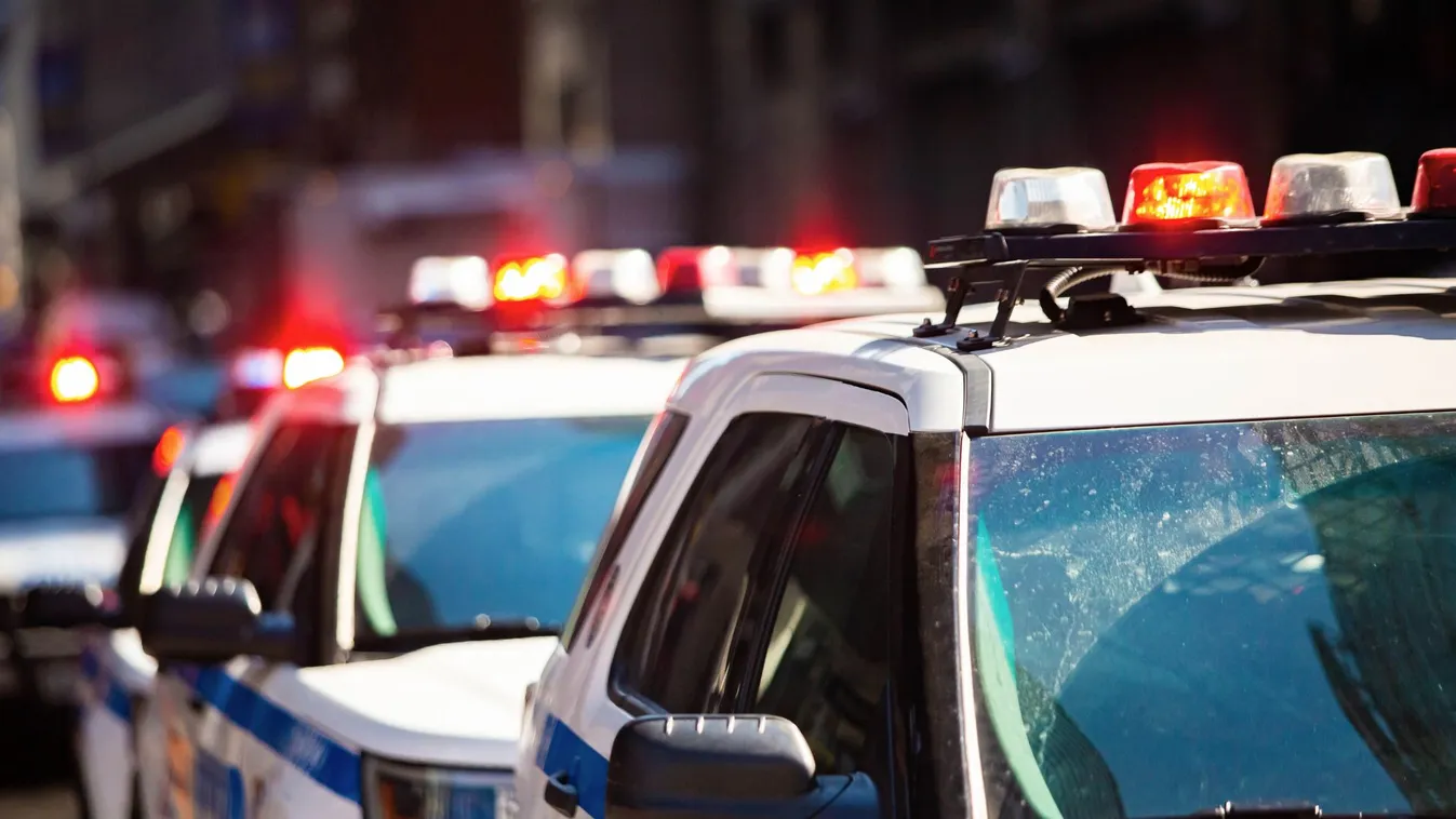 Hihetetlen! Csaknem 14 kilogramm kannabiszt találtak egy osztrák sofőrnél Kapuváron!