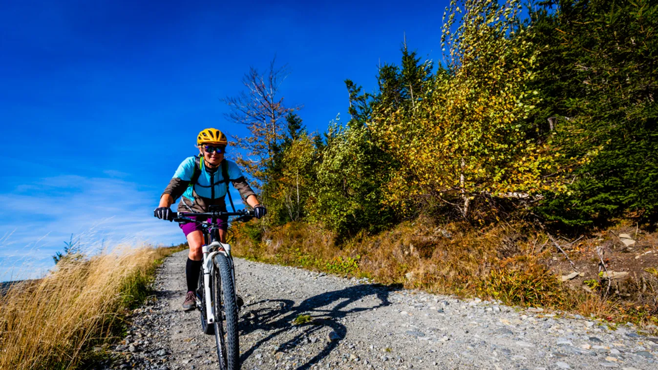 Öt települést érint a Pilis Bike útvonal továbbfejlesztése