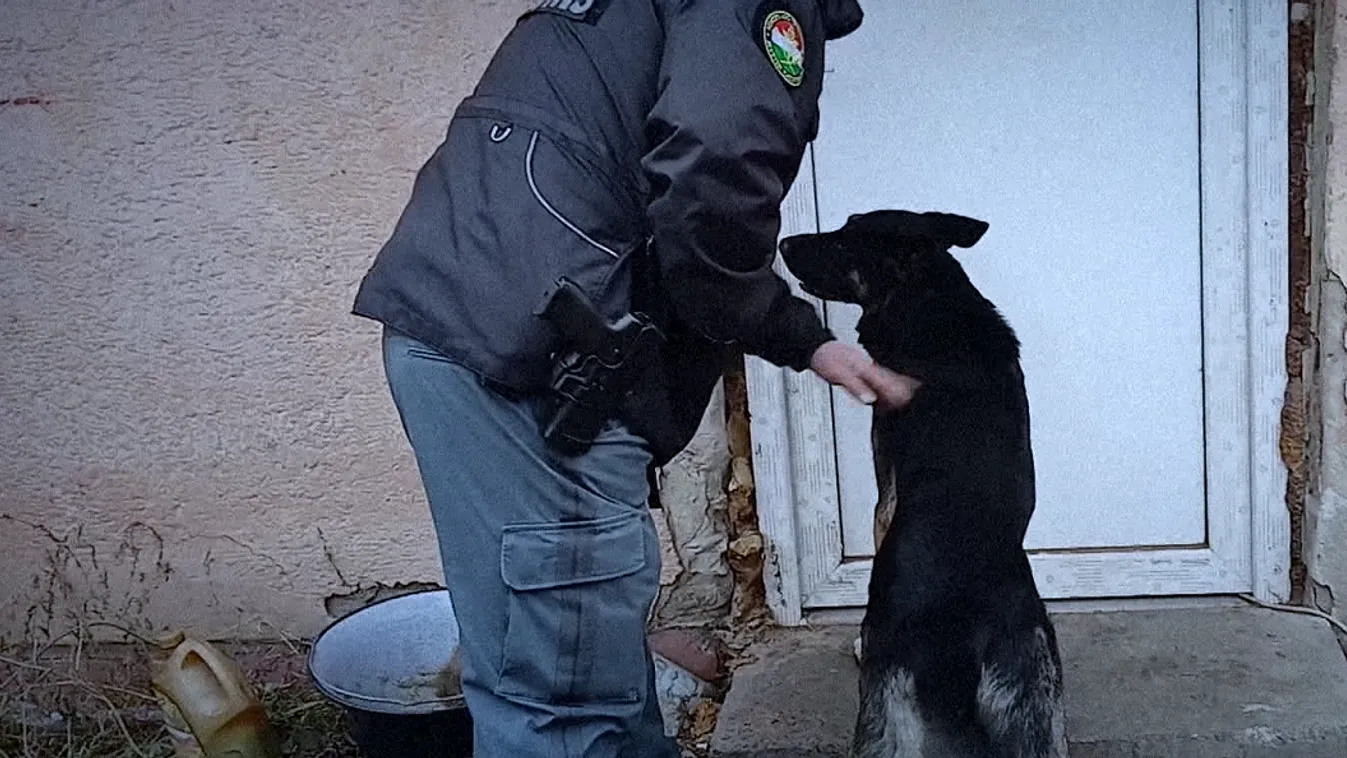A feketegazdaság ezer arca: Bútorszállítónak álcázott csempész és hamis mosószer a NAV hálójában + videó