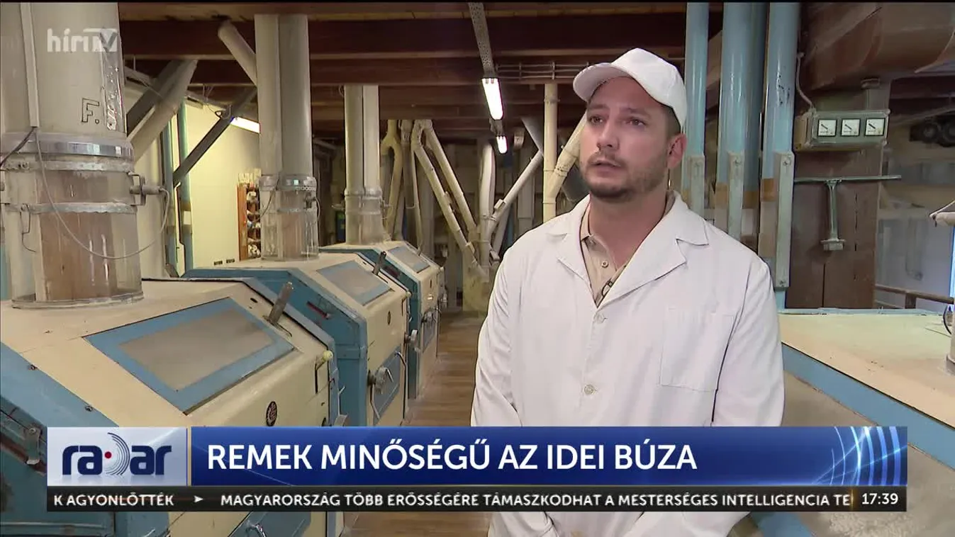 Radar - Remek minőségű az idei búza + videó