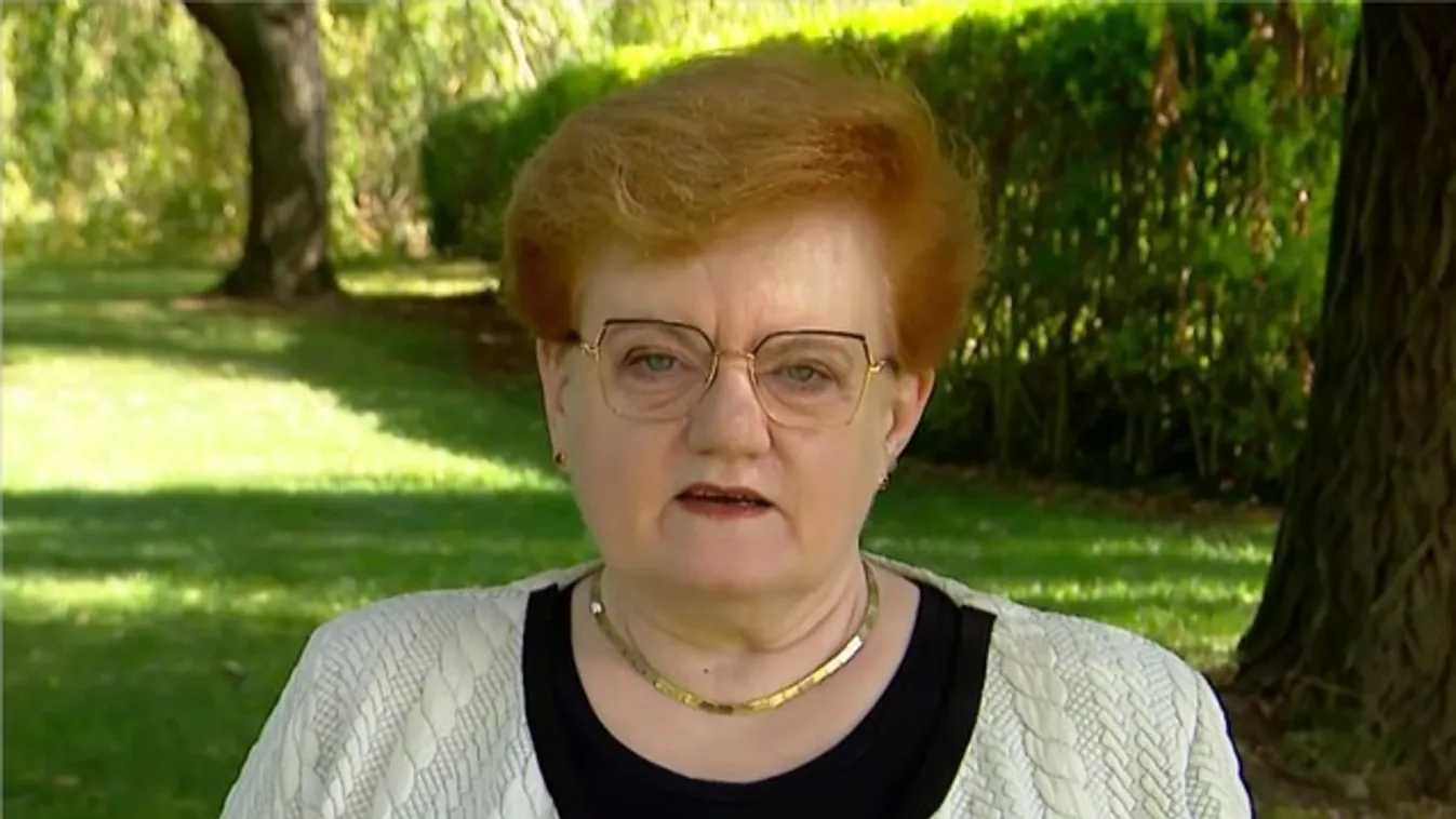 A Bokros-csomagot dicsőítette Magyar Péter új alelnöke + videó