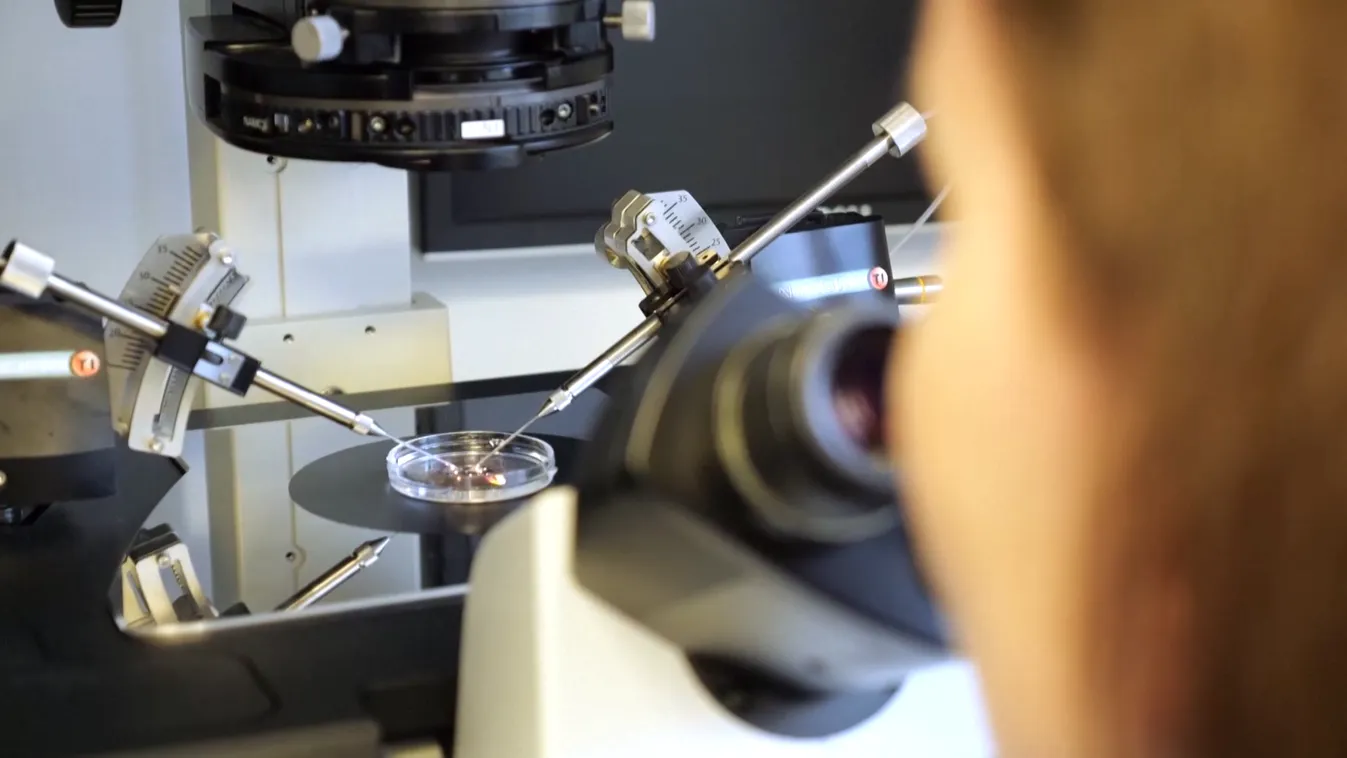 Radar – Új távlatok a genetika tudományban + videó