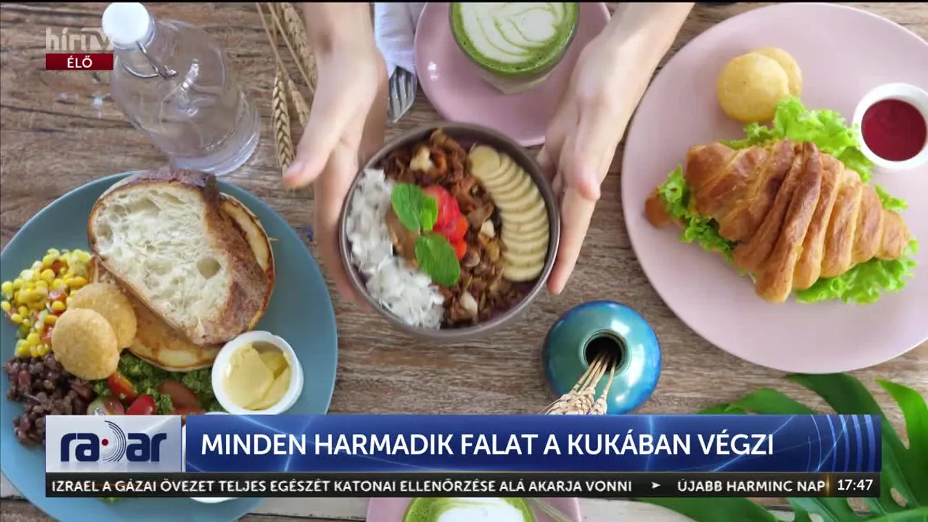 Radar - Minden harmadik falat a kukában végzi + videó