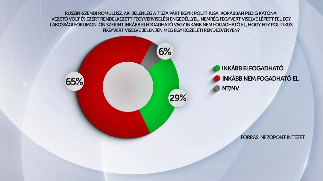 Így vélekedik a magyarok többsége Ruszin-Szendi Romulusz fegyverviseléséről + videó