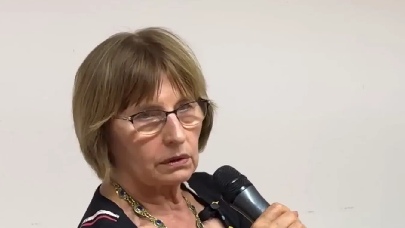 Rosszul van az anyák szja-mentességétől a Tisza Párt programírójaként azonosított Petschnig Mária Zita