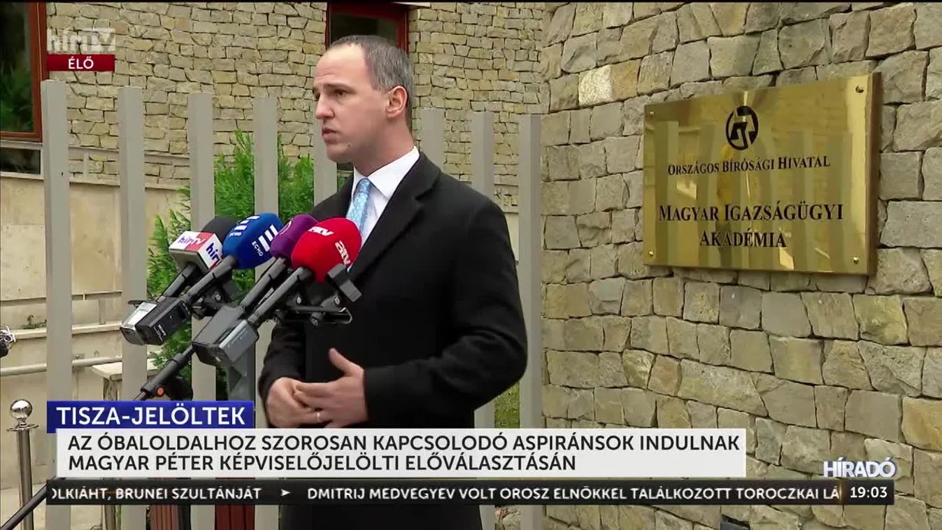 A politikai mocsáron kívülről? Gyurcsány-kori igazgatók és MSZP-s rokonok bukkantak fel a Tisza-listán + videó