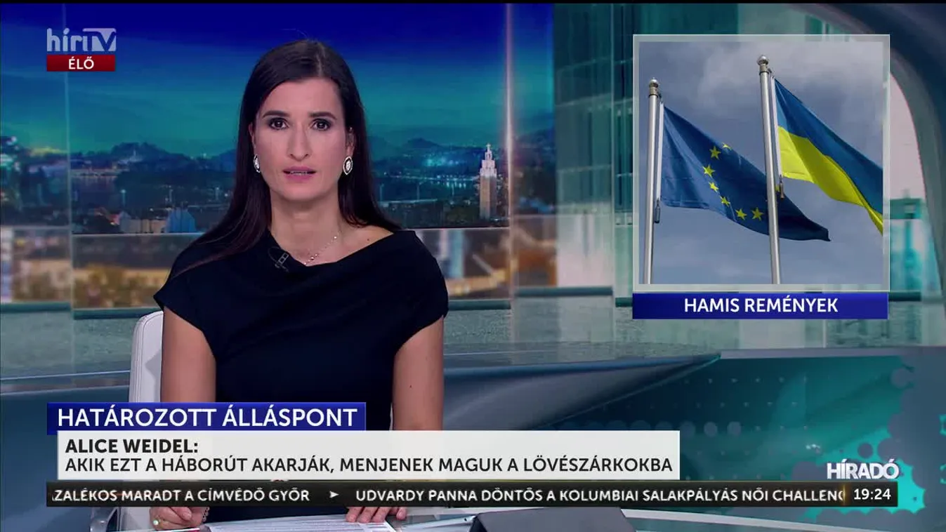 Határozott álláspont