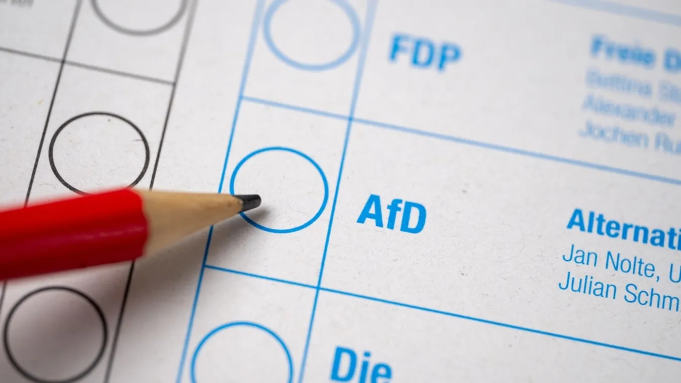 Toronymagasan első lett az AfD egy helyi választáson