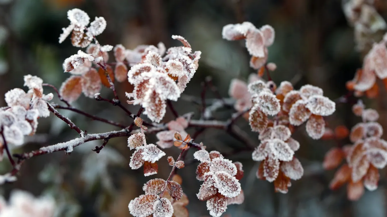 Fagy – Az érkező hidegfronttal megdőlt az idei szezonrekord