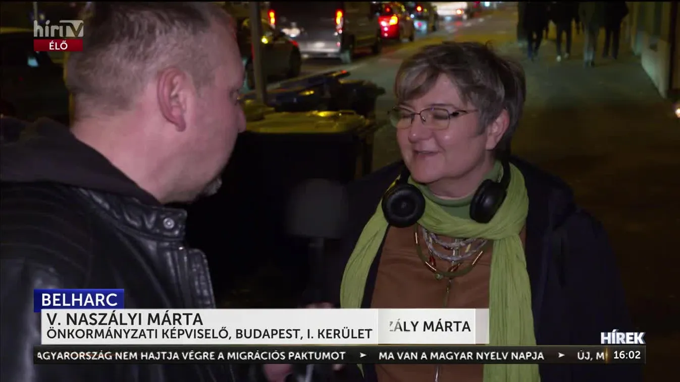 Kilépett a Párbeszéd-Zöldek Pártból V. Naszályi Márta + videó