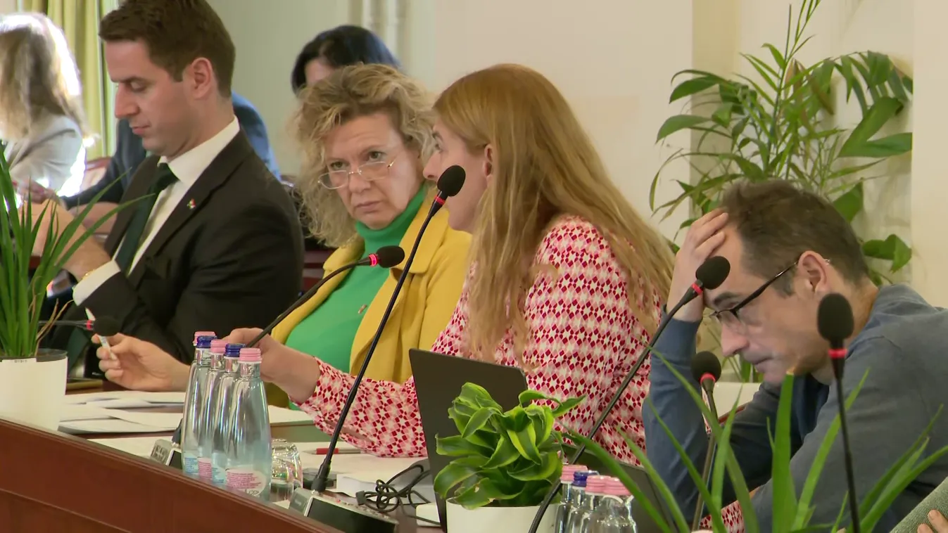 Döntés előtt a főváros: mi lesz a Sziget Fesztivál sorsa? + videó