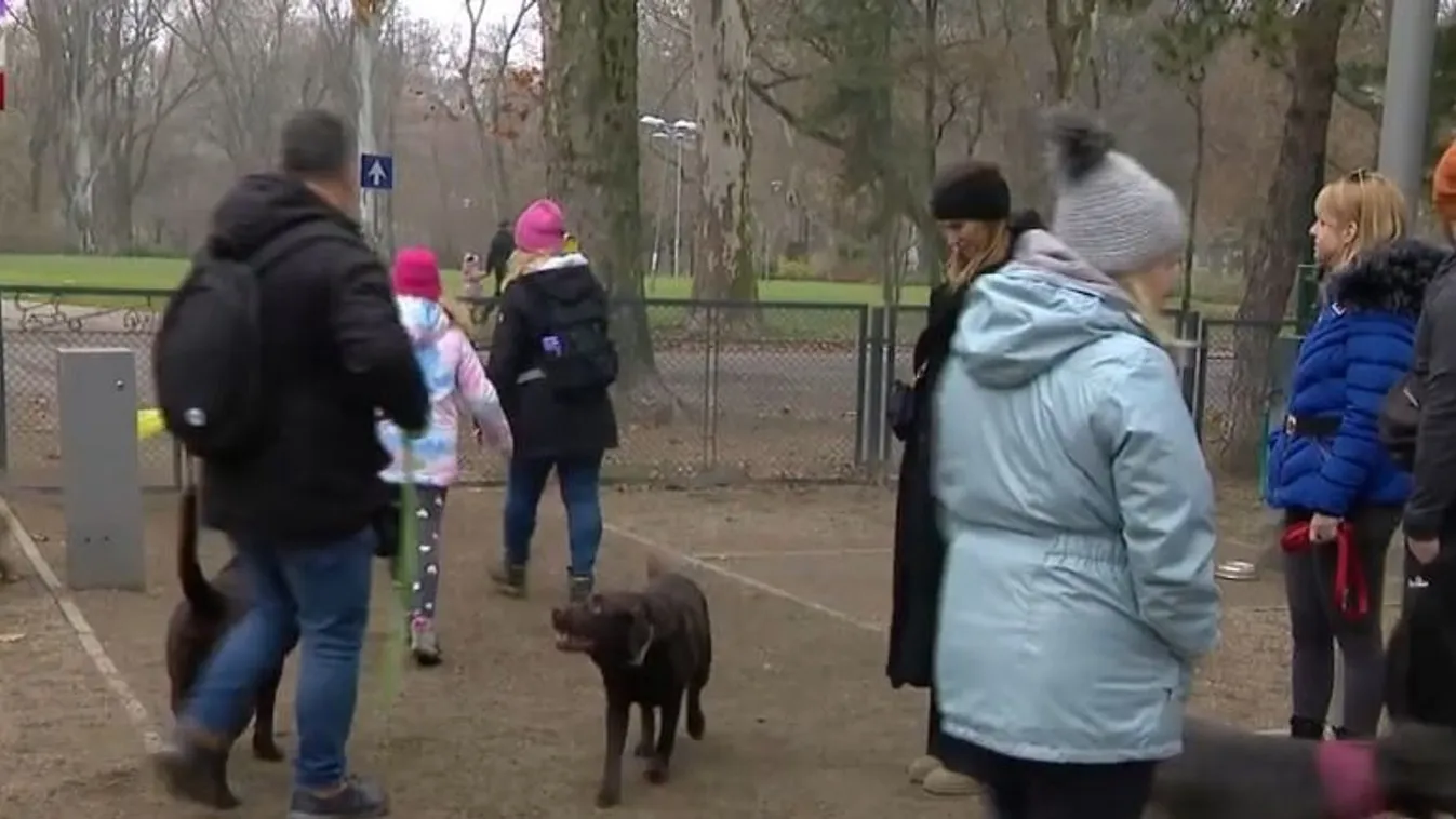 Sok ajándékba adott állat utcára kerül az ünnepek után