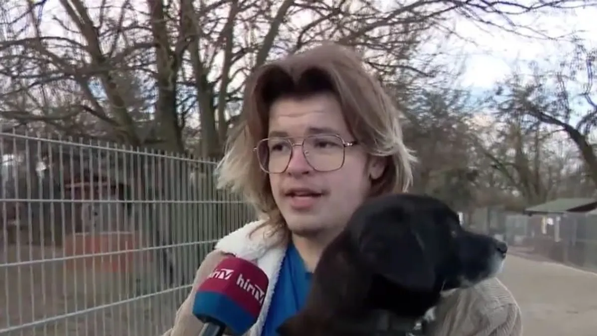 Így óvjuk meg házi kedvenceinket a szilveszteri sokktól