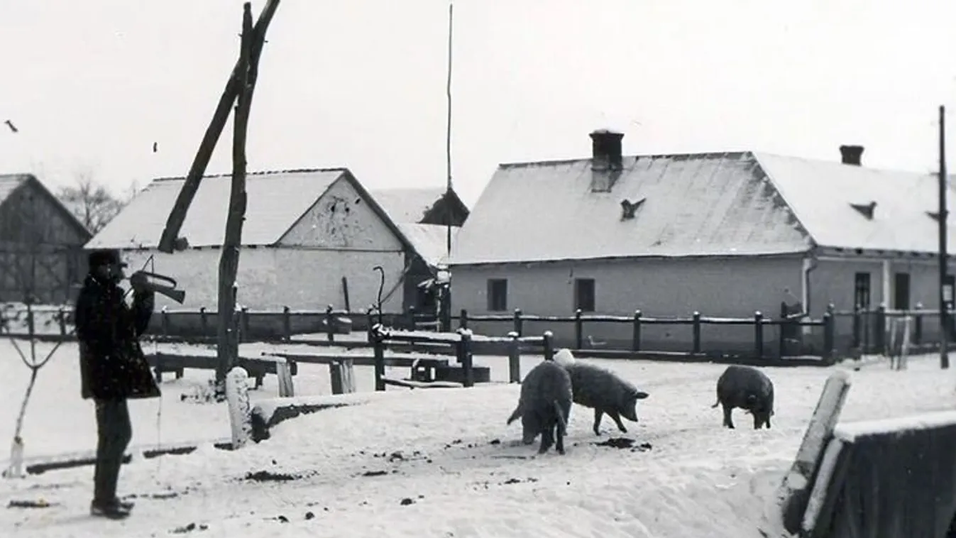 Hagyományainkban a disznóvágás kivételes ünnep
