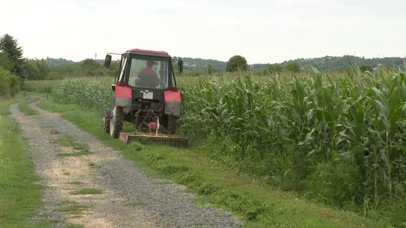 Orbán Viktor: A gazdáknak 100 százalékig igazuk van