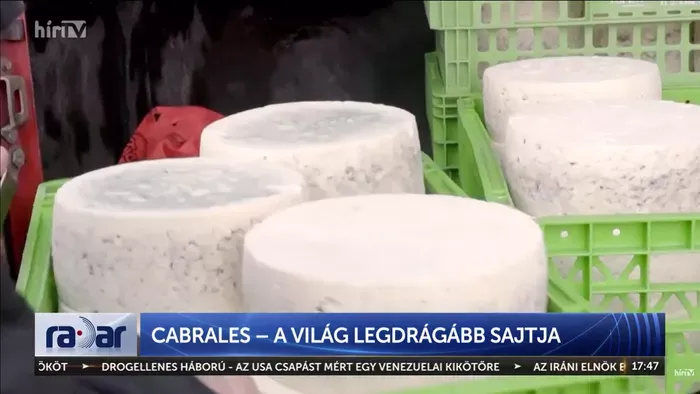 Sajt egy új autó áráért?