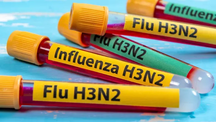 Felbukkant egy új influenzavariáns a H3N2, a vírus egy eddig ismeretlen mutációja