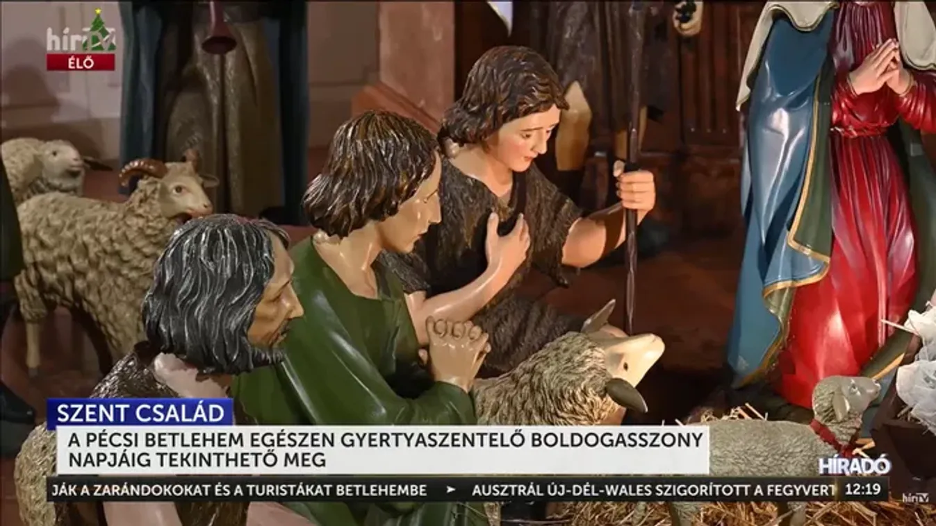 Csoda Pécsett: Római mintára készült az ország legnagyobb fa betleheme