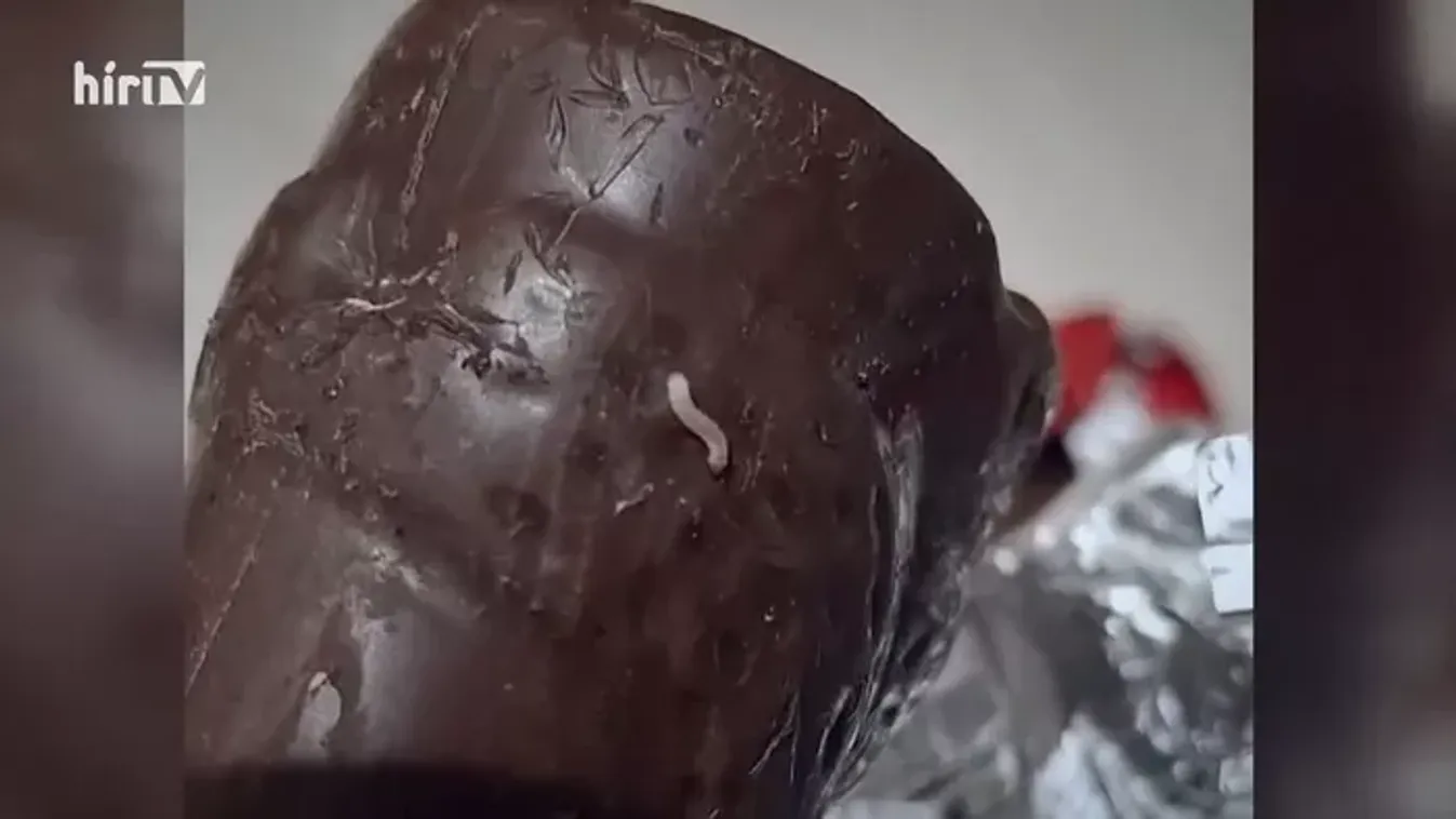 Kukacos csoki mikulással lepte meg a gyerekeket a tiszás polgármester