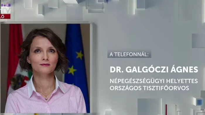 Magyarországon is kimutatták az új típusú influenza a vírust