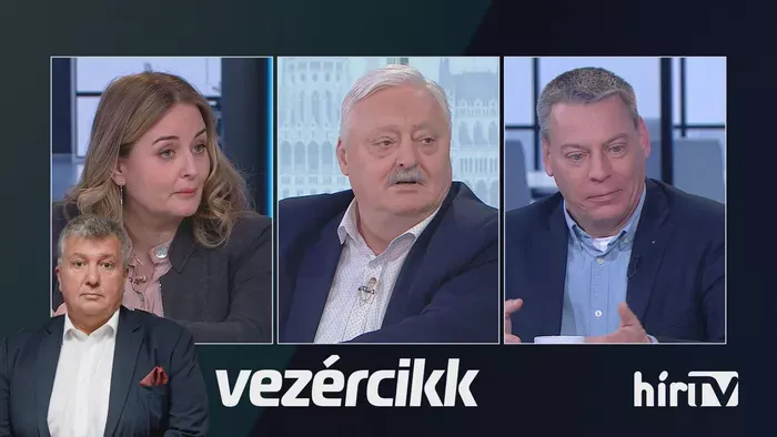 Tisza Párt: disznók a magyarok?