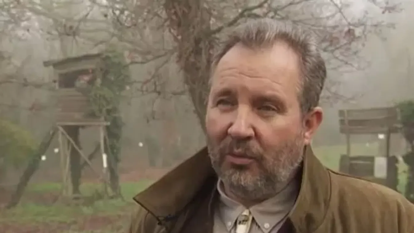 Egyre több a vaddisznó a lakóövezetekben