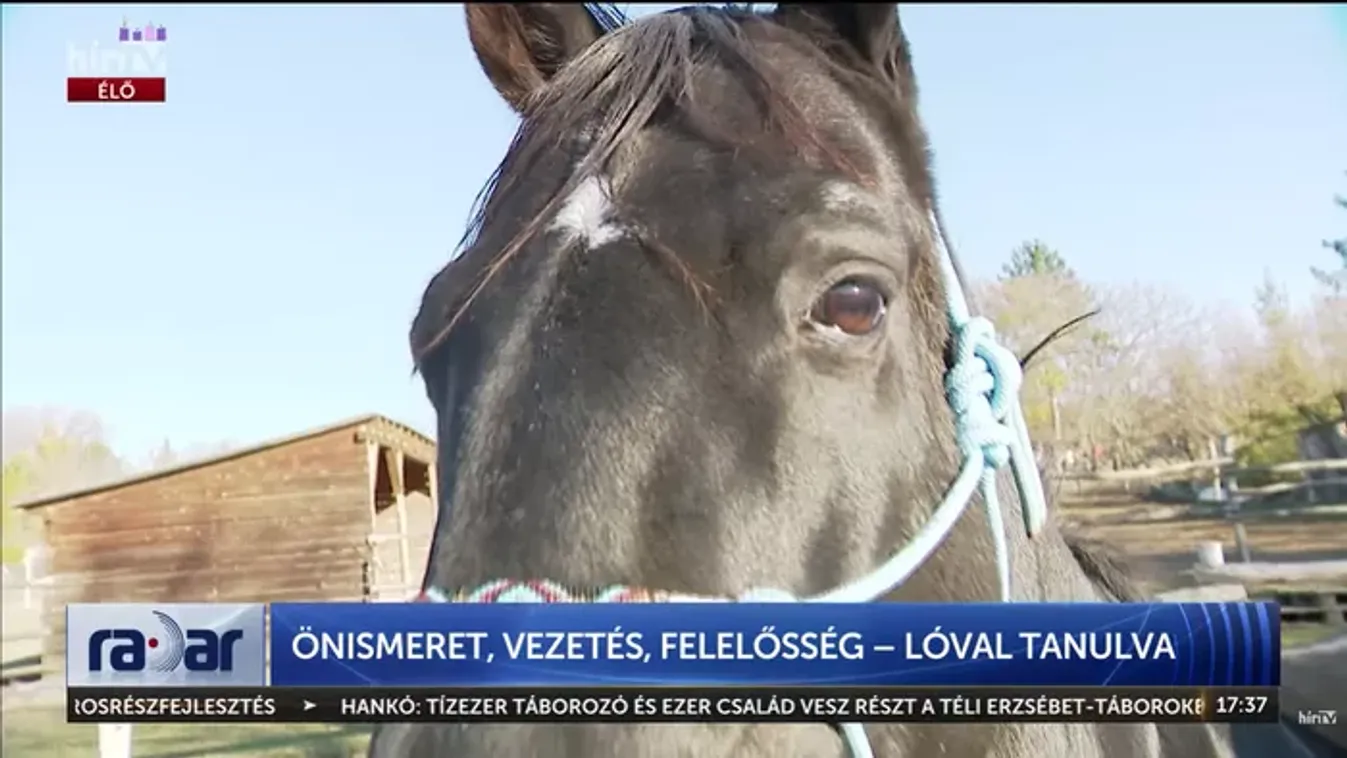 Sóskúti csoda: féltonnás tükör a depresszió ellen