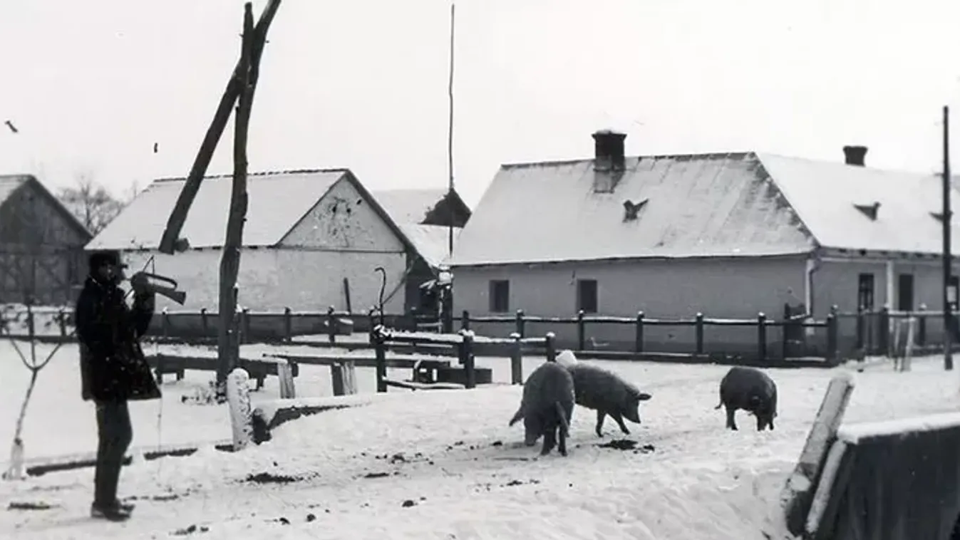 Hagyományainkban a disznóvágás kivételes ünnep