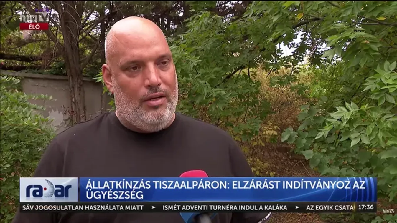 Rozi kutya kálváriája: elmaradt az ítélet, tovább izgulhat az állatkínzó