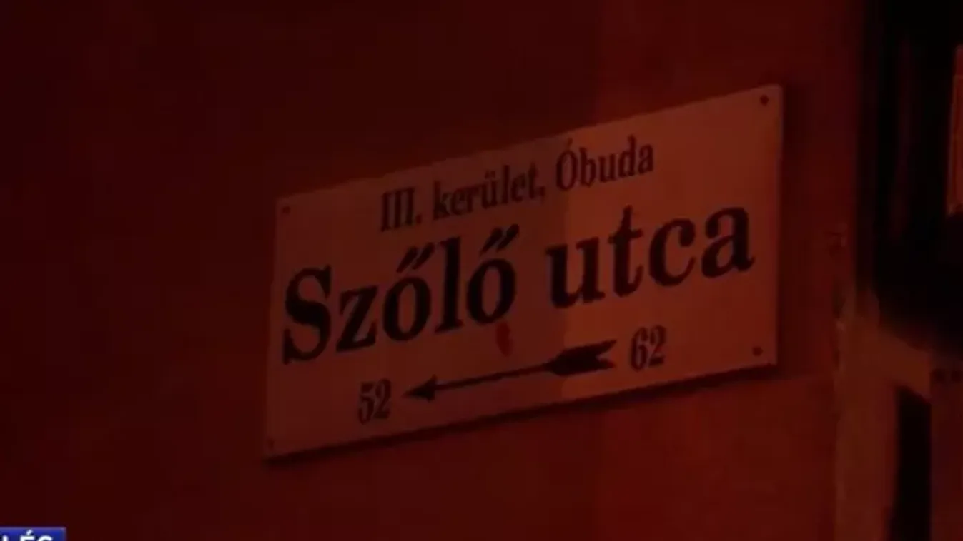 A hétvégi tüntetésen fenyegető üzenetet küldött a miniszterelnöknek Thuróczy Szabolcs színész