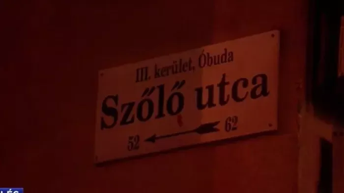 A hétvégi tüntetésen fenyegető üzenetet küldött a miniszterelnöknek Thuróczy Szabolcs színész