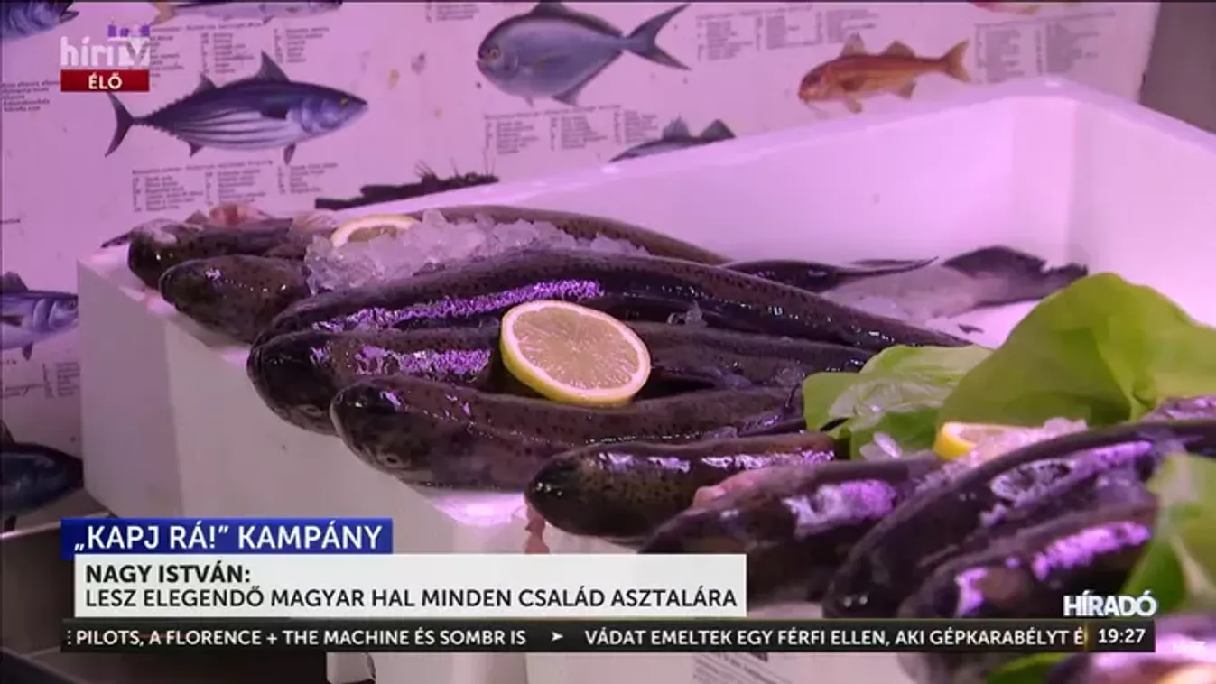 Nagy István garanciát vállalt: a hazai piac az első az export helyett