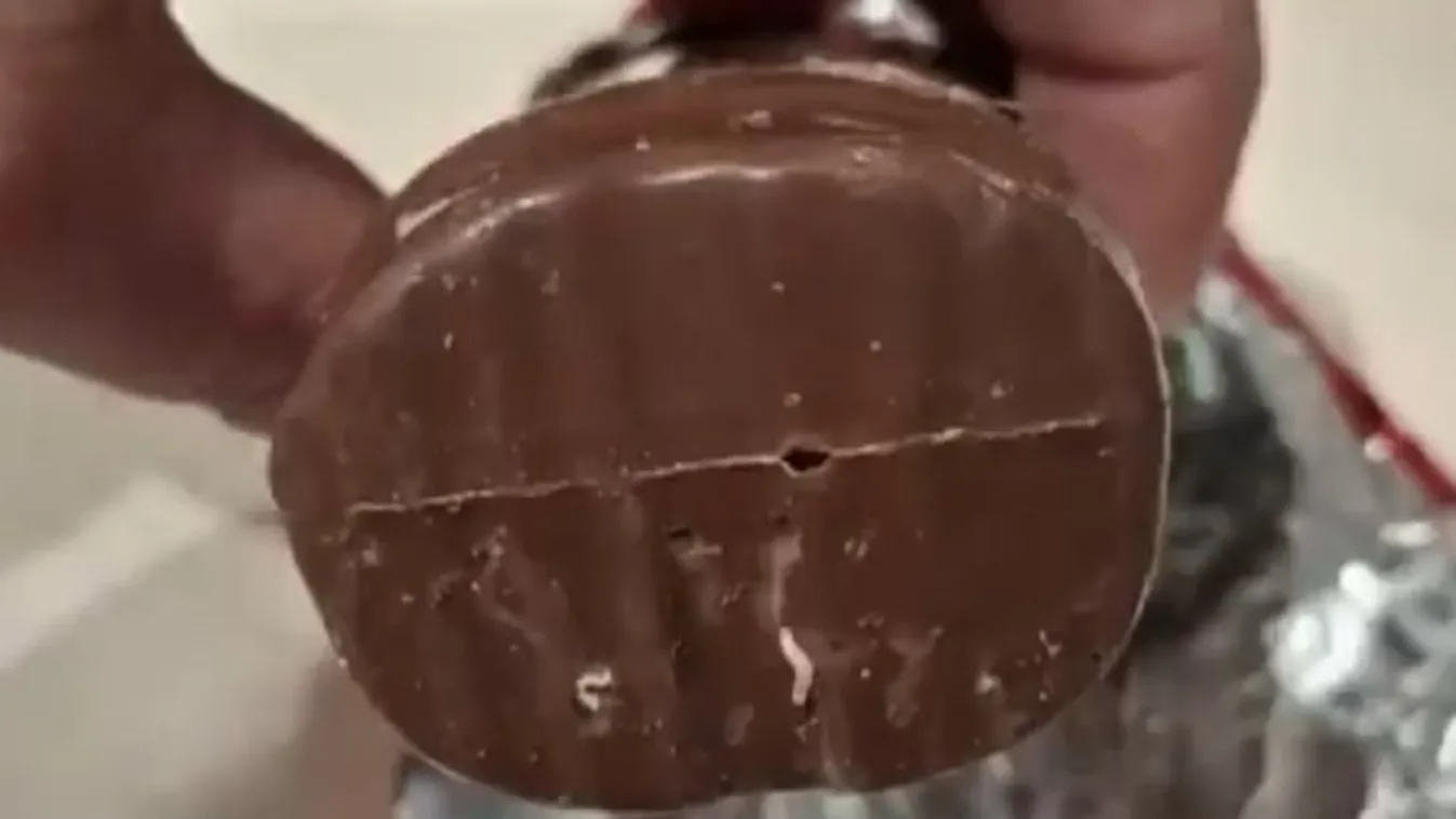 Felelős lehet a kukacos csokimikulások ügyében Magyar Péter jelöltje