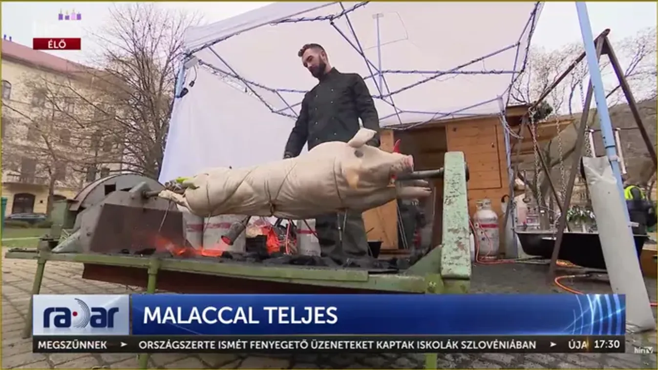 A tolerancia bajnokai tönkre akarták tenni a családi vállalkozást: vegán terror a Ferenc téren