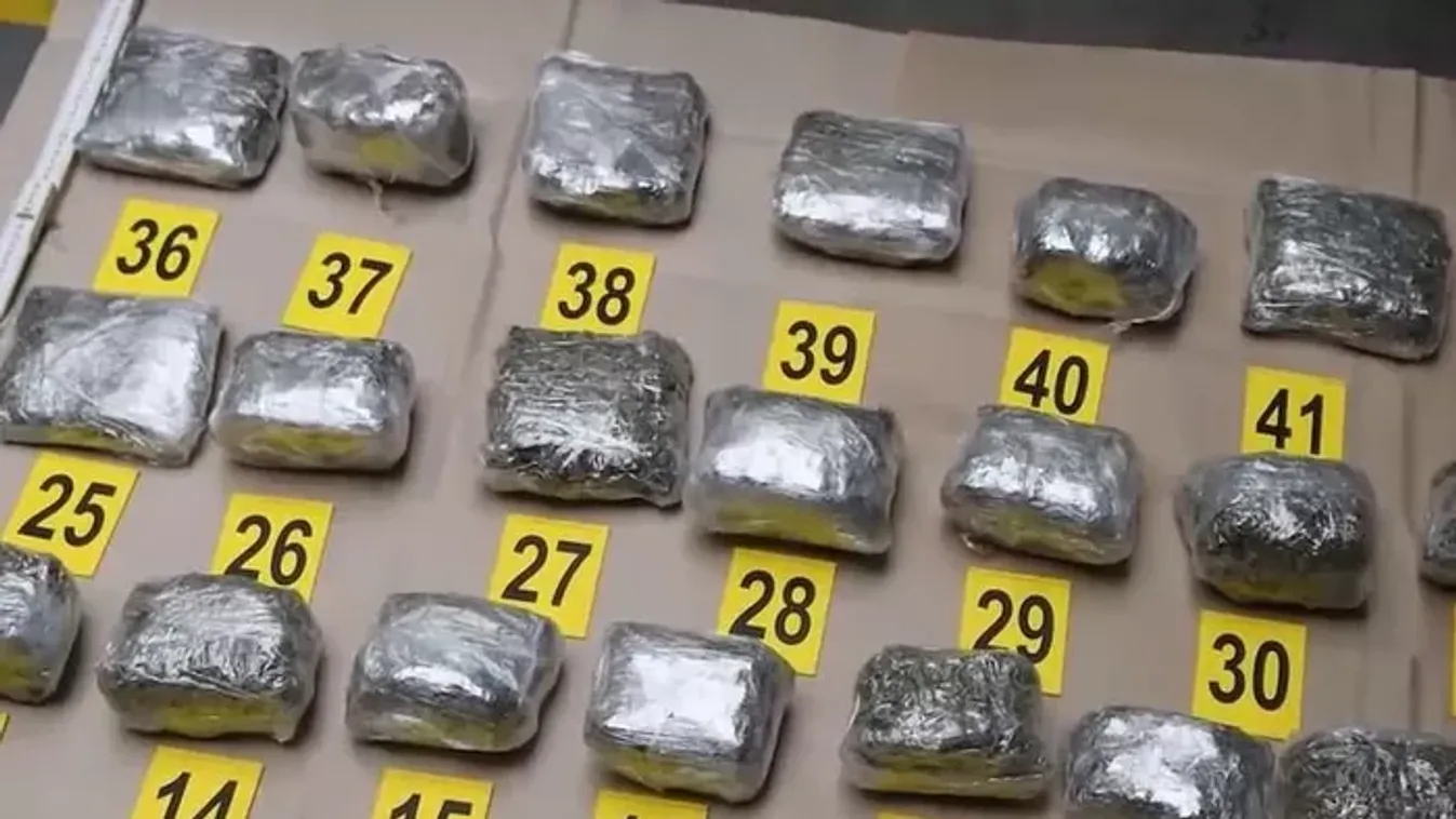 Zéró tolerancia a kábítószerekkel szemben