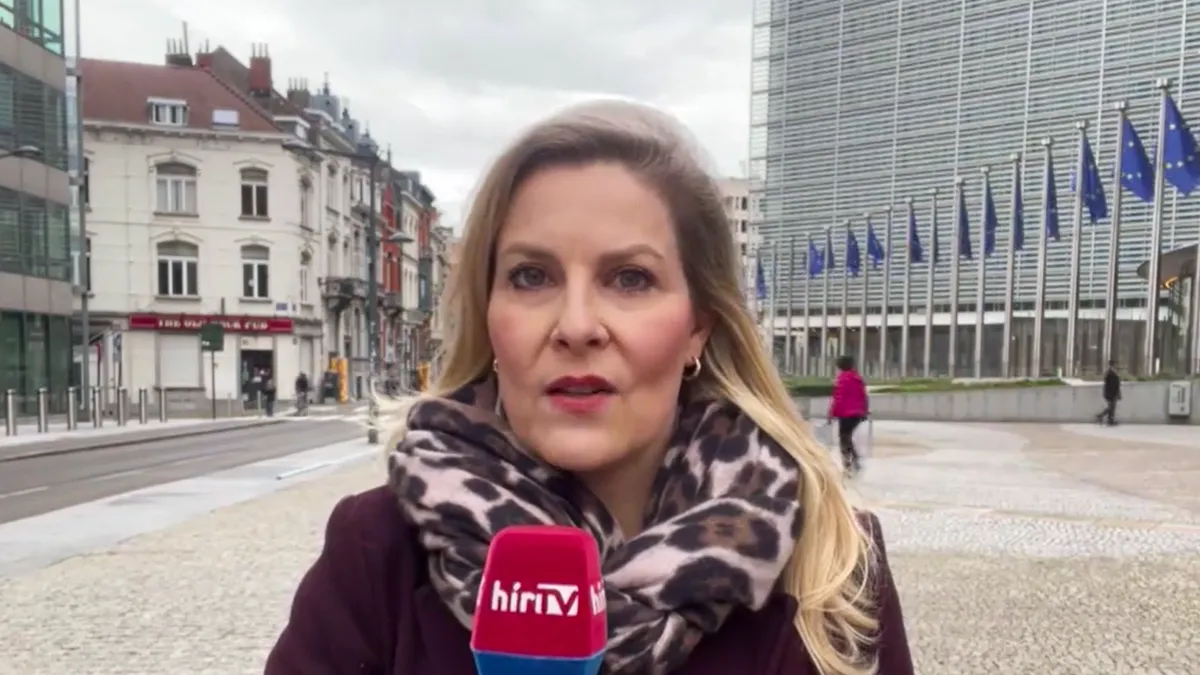 Jegeli a magyar ügyeket a választásokig az Európai Bizottság