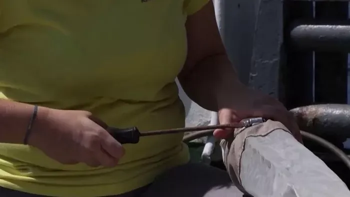 Egyre több a mikroműanyag a tengerekben