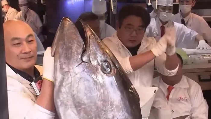 Elképesztő összegért kelt el egyetlen hal Japánban