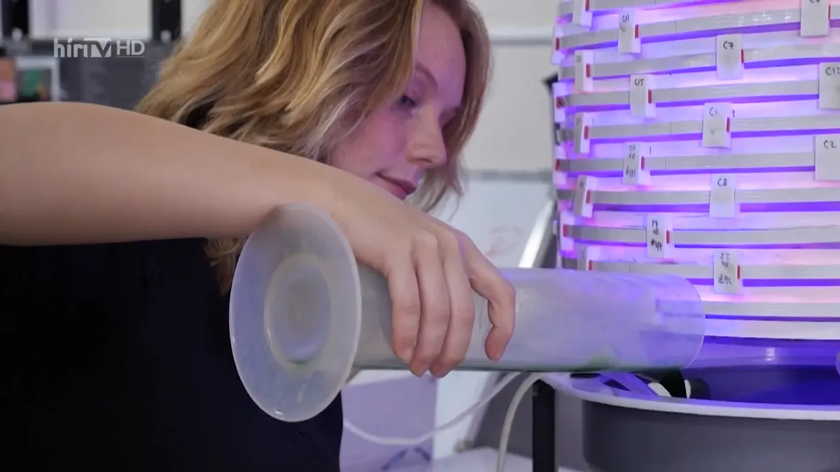 Az alga lenne a jövőnk?