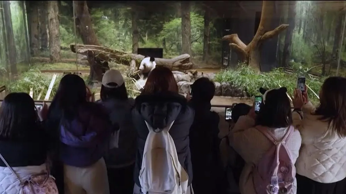 Eltűnik Japánból egy kedvelt állatfaj