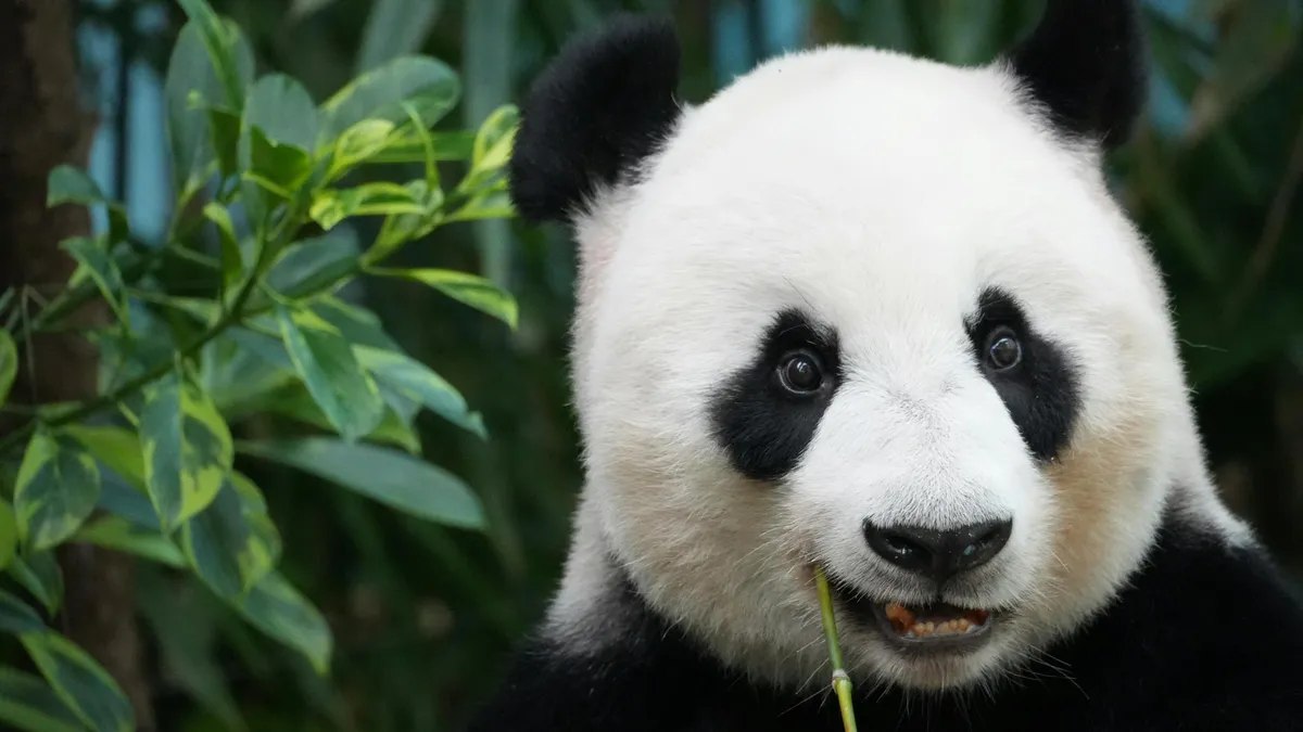 Harsány: Szombat este végre hangosan nevetünk!