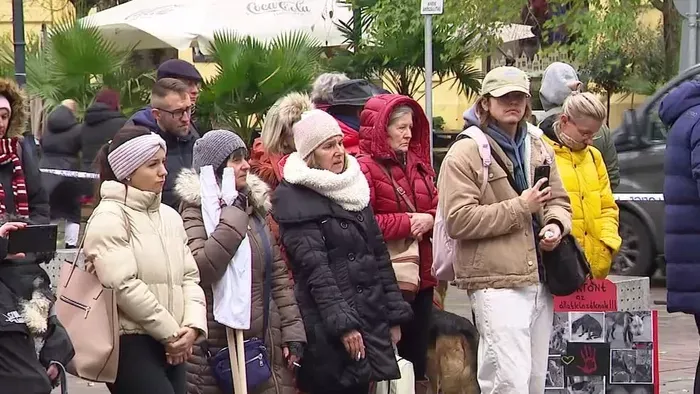 Rozi túlélte a borzalmat – Gazdája 60 nap elzárást kapott