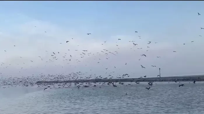 Hatalmas pusztítást végeznek